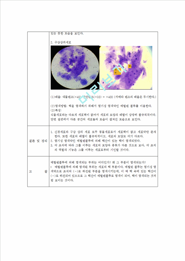 현미경 사용법과 세포 관찰   (4 페이지)